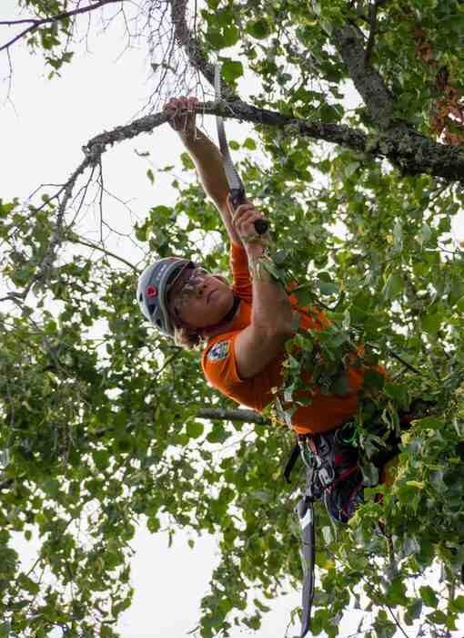 Do I Need Experience Before Taking Fall Protection Training