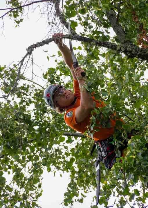 Do I Need Experience Before Taking Fall Protection Training?