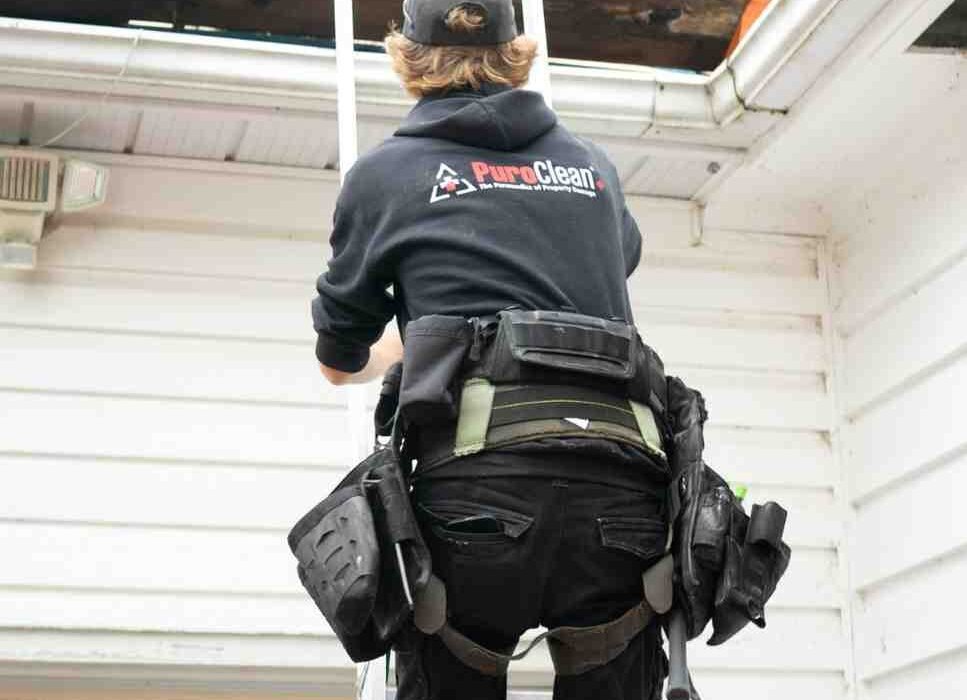 Do I Need Fall Protection at ANY Height on a Ladder