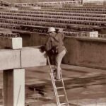 Does Fall Protection Training Include Ladder Safety