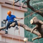 Does Fall Protection Training Transfer Between Jobs